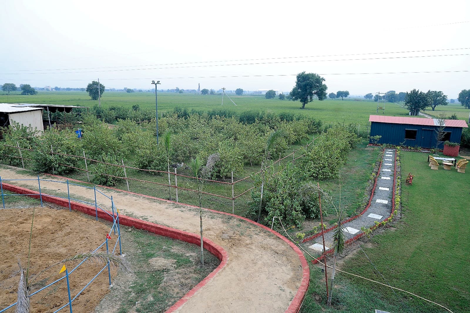 Guava Orchard
